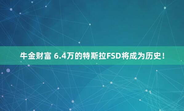 牛金财富 6.4万的特斯拉FSD将成为历史！